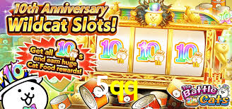 5qq.com