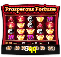 5qq.com